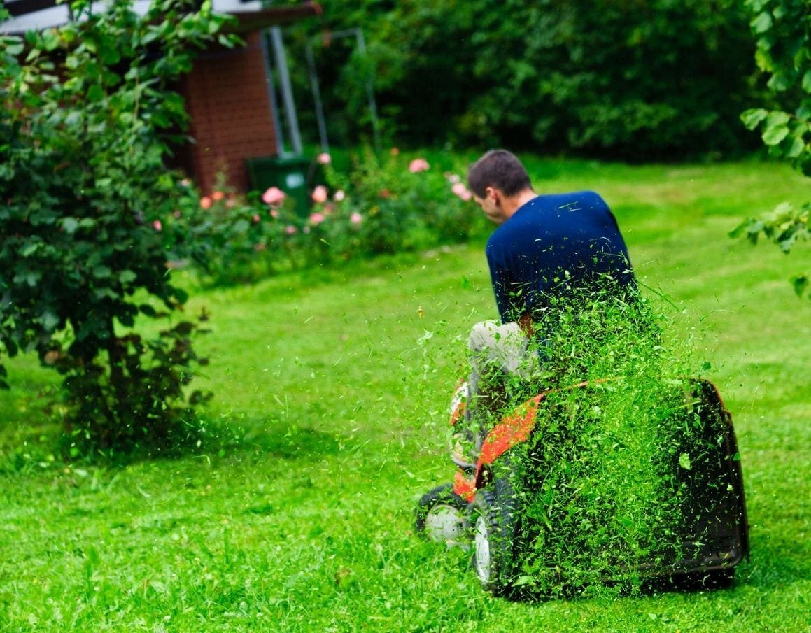 A man is using an electric hedge trimmer to cut grass.
