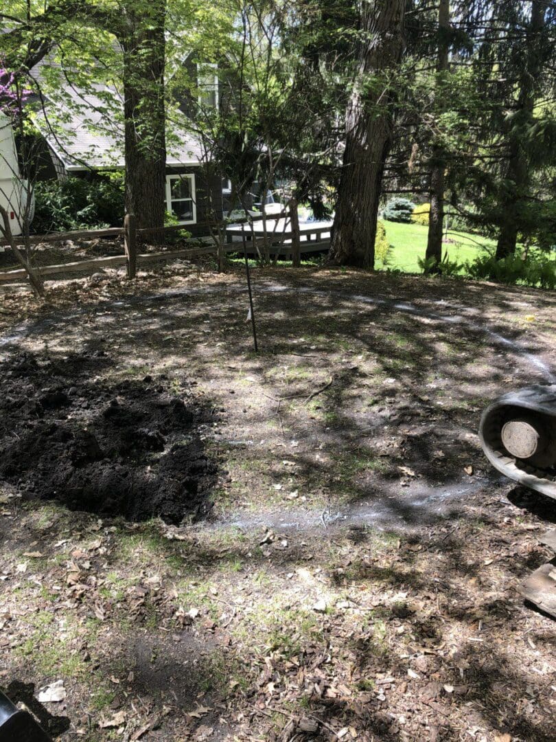 A black hole in the ground near some trees